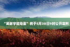 “吴谢宇弑母案”将于5月30日9时公开宣判