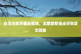 白玉兰奖评委会揭晓，主席胡智锋点评张颂文现象