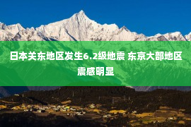 日本关东地区发生6.2级地震 东京大部地区震感明显