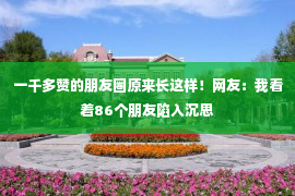 一千多赞的朋友圈原来长这样！网友：我看着86个朋友陷入沉思