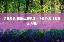 波兰总统:普京还没输过一场战争 此话有什么内涵？