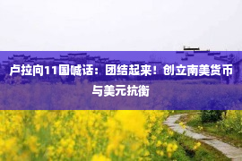 卢拉向11国喊话：团结起来！创立南美货币与美元抗衡