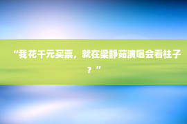 “我花千元买票，就在梁静茹演唱会看柱子？”