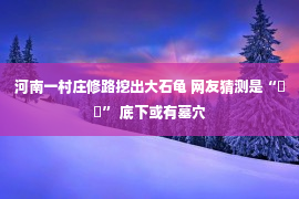 河南一村庄修路挖出大石龟 网友猜测是“赑屃” 底下或有墓穴