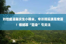 刘恺威温馨庆生小糯米，专访提起满是宠溺！爆杨幂“隐身”引关注