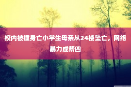 校内被撞身亡小学生母亲从24楼坠亡，网络暴力成帮凶