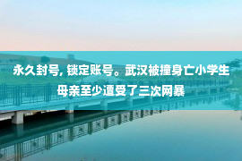 永久封号, 锁定账号。武汉被撞身亡小学生母亲至少遭受了三次网暴