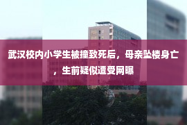 武汉校内小学生被撞致死后，母亲坠楼身亡，生前疑似遭受网曝