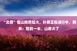 “北岳”恒山突然起火，扑救正在进行中，网友：爬到一半，山着火了