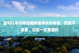 你可以永远相信椰树董事长的审美，罚款不重要，边是一定要擦的