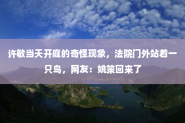 许敏当天开庭的奇怪现象，法院门外站着一只鸟，网友：姚策回来了