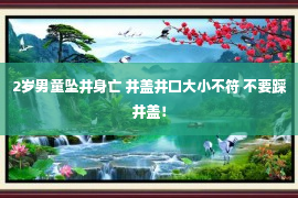 2岁男童坠井身亡 井盖井口大小不符 不要踩井盖！