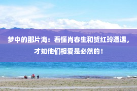 梦中的那片海：看懂肖春生和贺红玲遭遇，才知他们相爱是必然的！