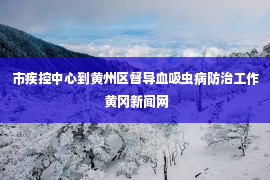 市疾控中心到黄州区督导血吸虫病防治工作 黄冈新闻网