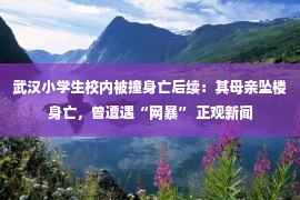 武汉小学生校内被撞身亡后续：其母亲坠楼身亡，曾遭遇“网暴” 正观新闻