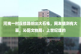 河南一村庄修路挖出大石龟，网友猜测有大墓，沁阳文物局：上世纪埋的