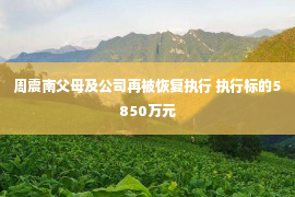 周震南父母及公司再被恢复执行 执行标的5850万元