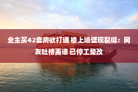 业主买42套房欲打通 楼上墙壁现裂缝：网友吐槽离谱 已停工整改