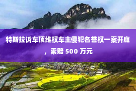 特斯拉诉车顶维权车主侵犯名誉权一案开庭，索赔 500 万元