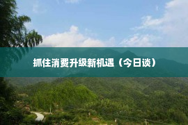 抓住消费升级新机遇（今日谈）