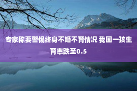 专家称要警惕终身不婚不育情况 我国一孩生育率跌至0.5