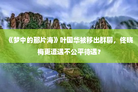 《梦中的那片海》叶国华被移出群聊，佟晓梅更遭遇不公平待遇？