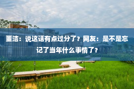 董洁：说这话有点过分了？网友：是不是忘记了当年什么事情了？