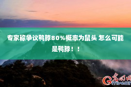 专家称争议鸭脖80%概率为鼠头 怎么可能是鸭脖！！