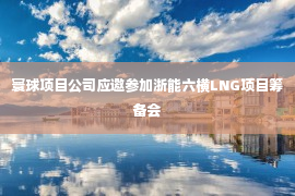 寰球项目公司应邀参加浙能六横LNG项目筹备会