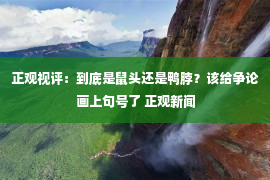 正观视评：到底是鼠头还是鸭脖？该给争论画上句号了 正观新闻