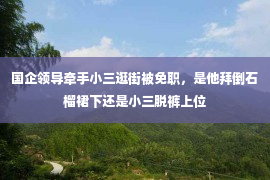 国企领导牵手小三逛街被免职，是他拜倒石榴裙下还是小三脱裤上位