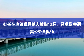 处长在地铁猥亵他人被拘12日，已免职并调离公务员队伍