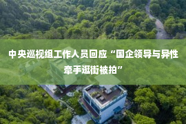 中央巡视组工作人员回应“国企领导与异性牵手逛街被拍”