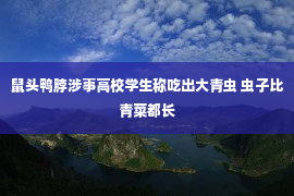 鼠头鸭脖涉事高校学生称吃出大青虫 虫子比青菜都长