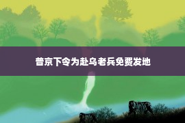 普京下令为赴乌老兵免费发地