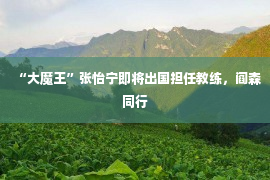 “大魔王”张怡宁即将出国担任教练，阎森同行