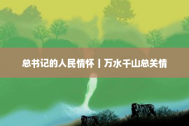 总书记的人民情怀丨万水千山总关情