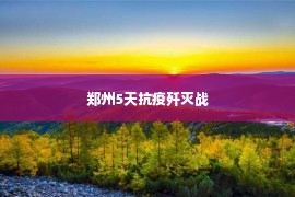 郑州5天抗疫歼灭战