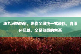 唐九洲奶奶家，堪称全国统一式装修，肉眼所见处，全是熟悉的东西