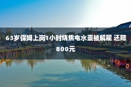 63岁保姆上岗1小时烧焦电水壶被解雇 还赔800元