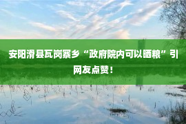 安阳滑县瓦岗寨乡“政府院内可以晒粮”引网友点赞！