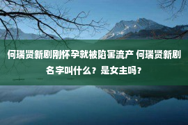 何瑞贤新剧刚怀孕就被陷害流产 何瑞贤新剧名字叫什么？是女主吗？