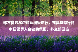 韩方称若双边对话积极进行，或具备举行韩中日领导人会议的氛围，外交部回应