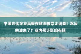 中国光伏企业高管在欧洲被带走调查！双反余波未了？业内预计影响有限