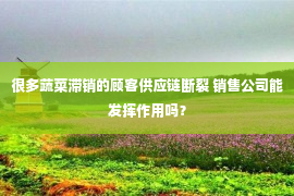 很多蔬菜滞销的顾客供应链断裂 销售公司能发挥作用吗？