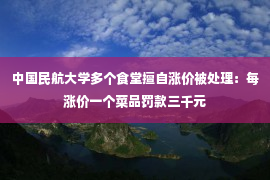 中国民航大学多个食堂擅自涨价被处理：每涨价一个菜品罚款三千元