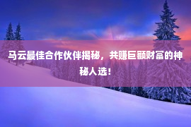 马云最佳合作伙伴揭秘，共赚巨额财富的神秘人选！