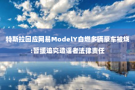 特斯拉回应网易ModelY自燃多辆豪车被烧:暂缓追究造谣者法律责任