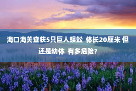 海口海关查获5只巨人蜈蚣  体长20厘米 但还是幼体  有多危险？