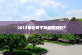 2015年哪些生意最有前景？